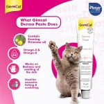 خمیر گربه جیم کت برای پوست حساس مدل درما وزن 50 گرم GimCat Derma Paste - Image 4