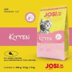 غذای خشک بچه گربه جوسی کت طعم مرغ مدل کیتن وزن 10 کیلوگرم Josicat Kitten - Image 2