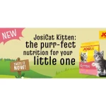 غذای خشک بچه گربه جوسی کت طعم مرغ مدل کیتن وزن 10 کیلوگرم Josicat Kitten - Image 6