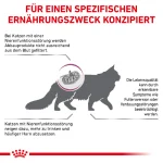 غذای خشک گربه رویال کنین مدل رنال اسپشیال وزن 2 کیلوگرم Royal Canin Renal Special - Image 6