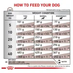 غذای خشک سگ رویال کنین گسترو اینتستینال مناسب مشکلات گوارشی وزن 2 کیلوگرم  Royal Canin Gastro Intestinal - تصویر 6