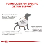 غذای خشک سگ رویال کنین گسترو اینتستینال مناسب مشکلات گوارشی وزن 2 کیلوگرم  Royal Canin Gastro Intestinal - تصویر 4
