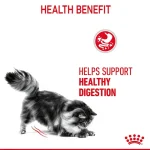 پوچ گربه رویال کنین برای حمایت از گوارش در سس مدل دایجستیو وزن 85 گرم Royal Canin Digestive Care - تصویر 5