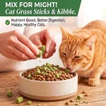 تشویقی علف گربه کت گرس با طعم مرغ مدل میله‌ای وزن 30 گرم Cat Grass Teething Stick - تصویر 2