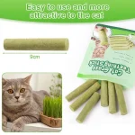 تشویقی علف گربه کت گرس با طعم مرغ مدل میله‌ای وزن 30 گرم Cat Grass Teething Stick - تصویر 6